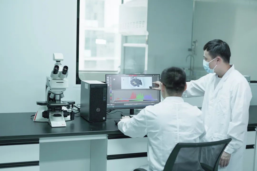 BCGAME(�й�)�ٷ���վ